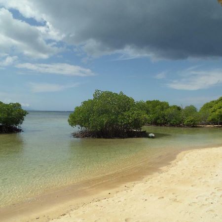 Mangrove Paradise Retreat Нуса Лембонган Екстериор снимка