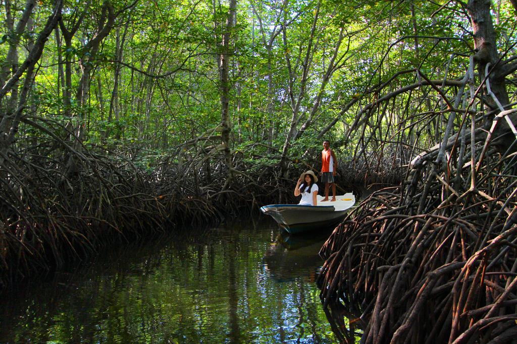 Mangrove Paradise Retreat Нуса Лембонган Екстериор снимка